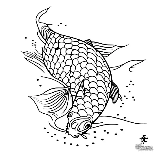 Koi Fish