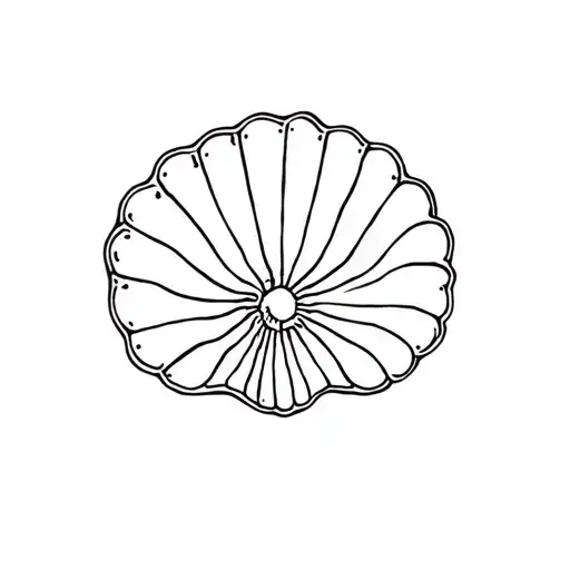 Fine Line Seashell
