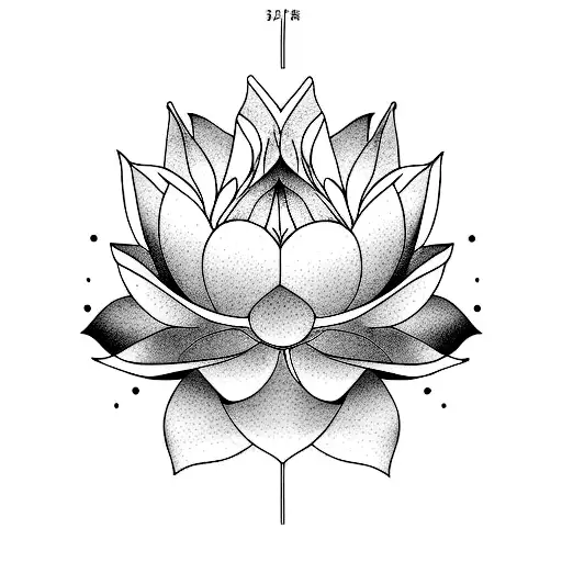 Lotus Flower
