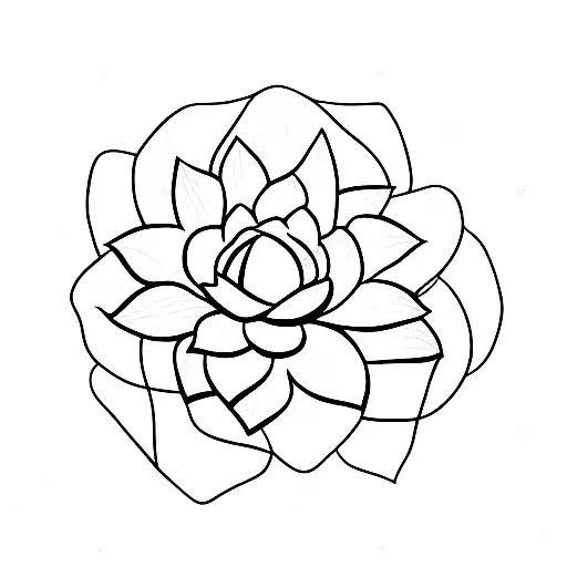 Lotus Flower