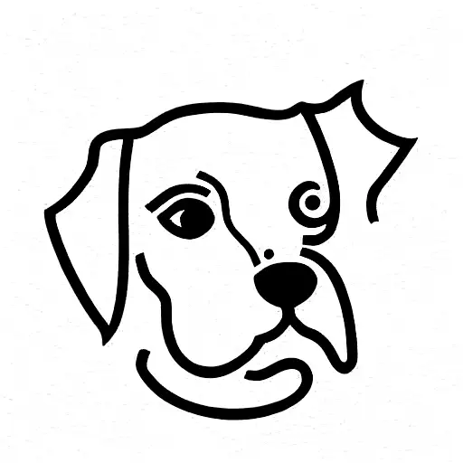 Jackrusselterrier And Sun