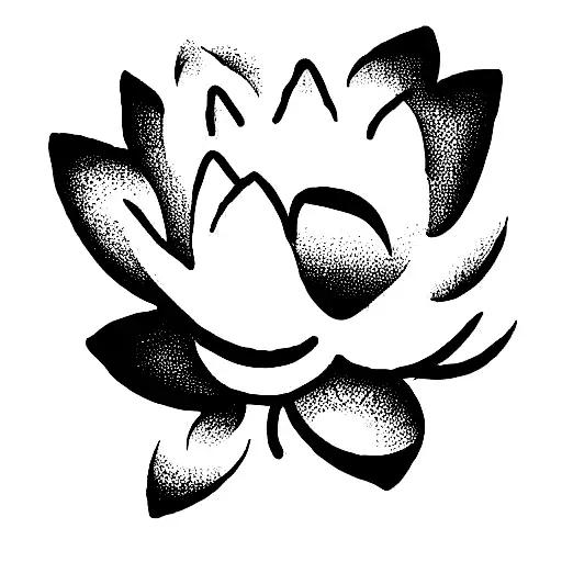 Lotus Flower With Koordiantes