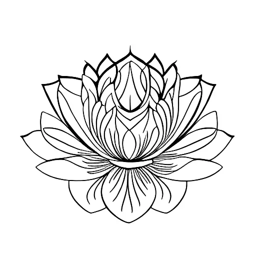 Lotus Flower