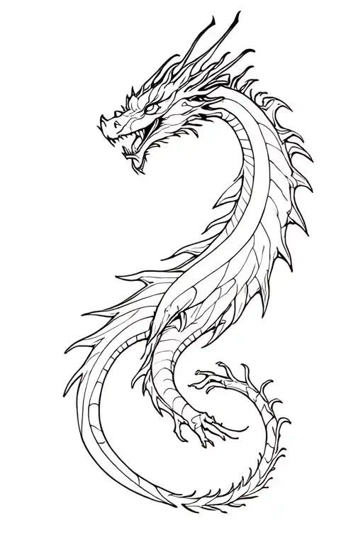 Full Body Dragon Fine Line Drawing
