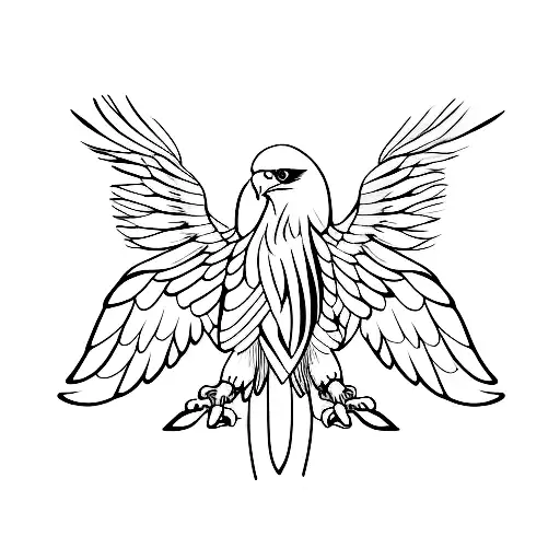 Eagle Fly