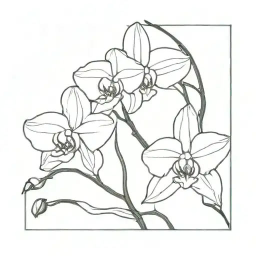 Orchid Stem