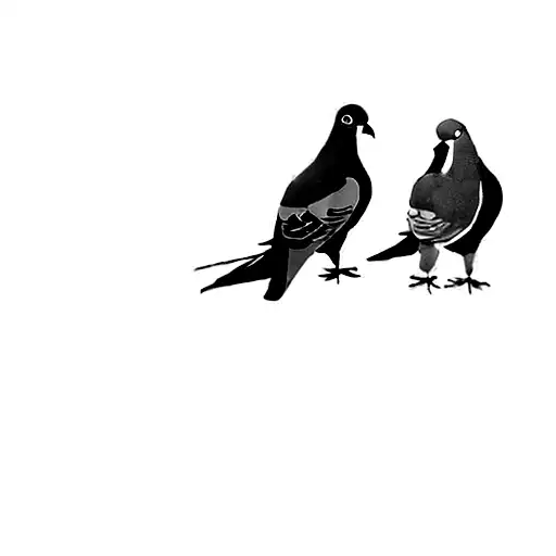 A Pair Of Pigeons On A Black Background