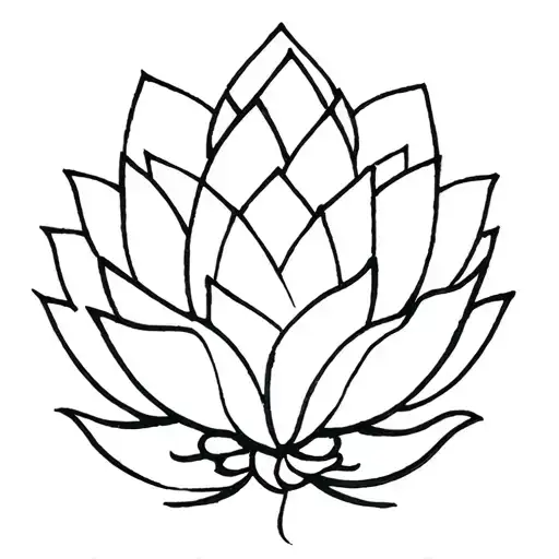 Lotus Angkor What