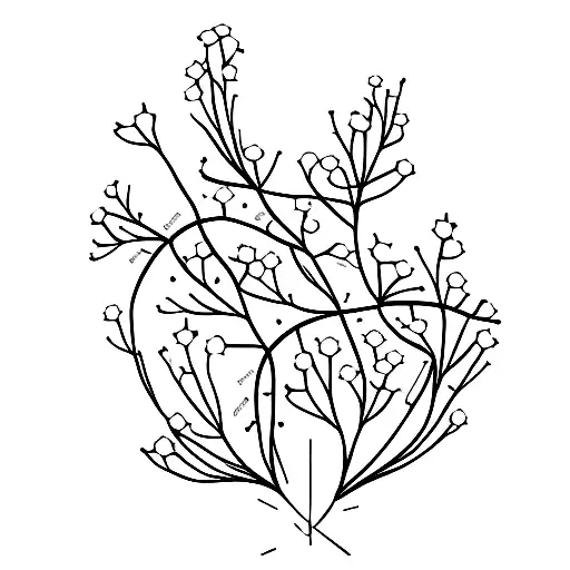 A Minimalist Outline Of A Babys Breath Flower With The Word 'Anxiety' Incorporated Into Its Stem