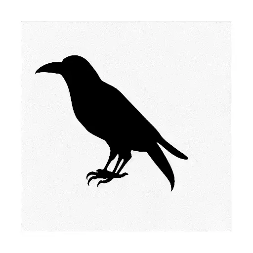 Black Crow In Royal Enfield