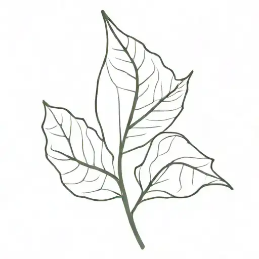 Leaf