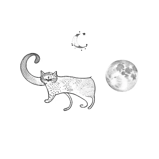 Cat With Moon
