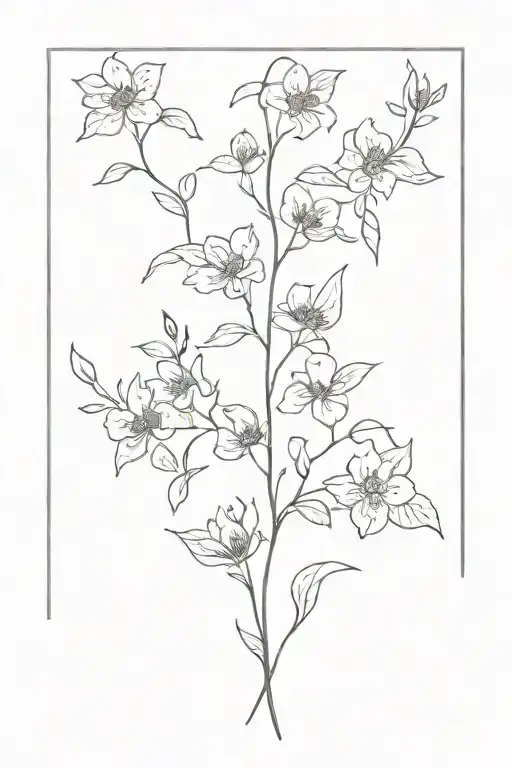 February March April May October July November June Birthflowers On Vine Spine