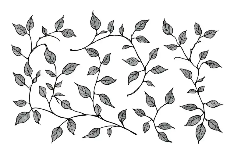 A Lot Of Small Vine Leafs