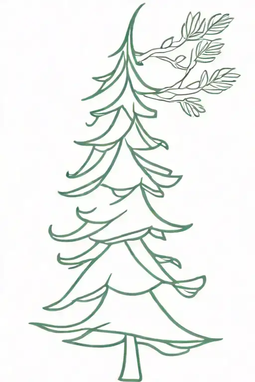 Evergreen Tree