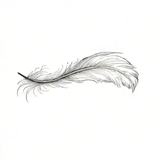 A Feather