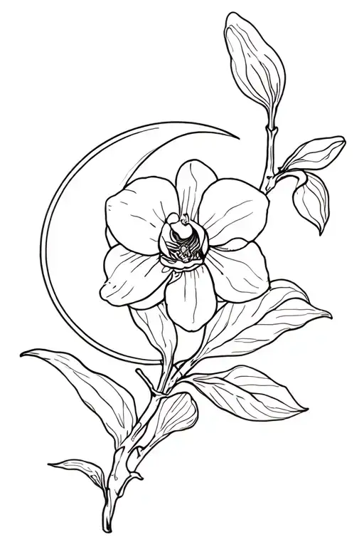 Orchid With Crescent Moon