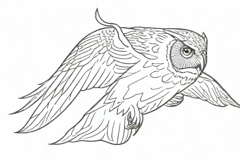 Flying Owl Flying
