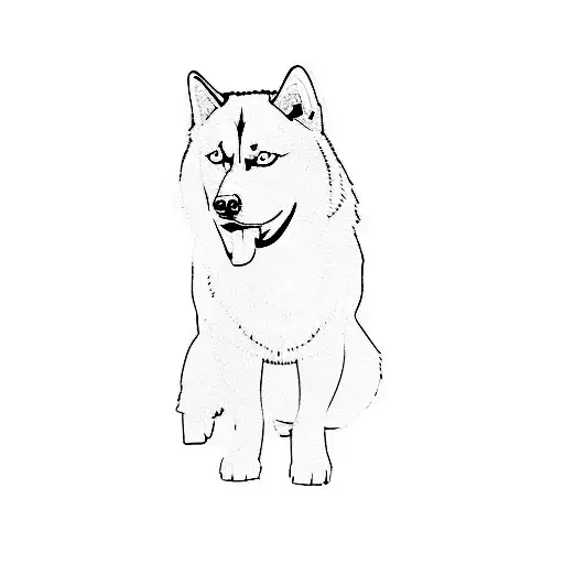A Husky Dog