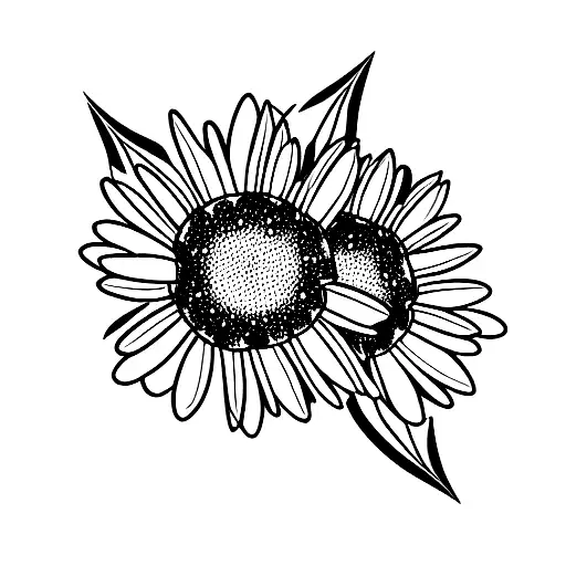 Daisy With Fire Petals