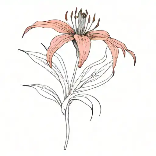 Floral Red Spider Lily Flower