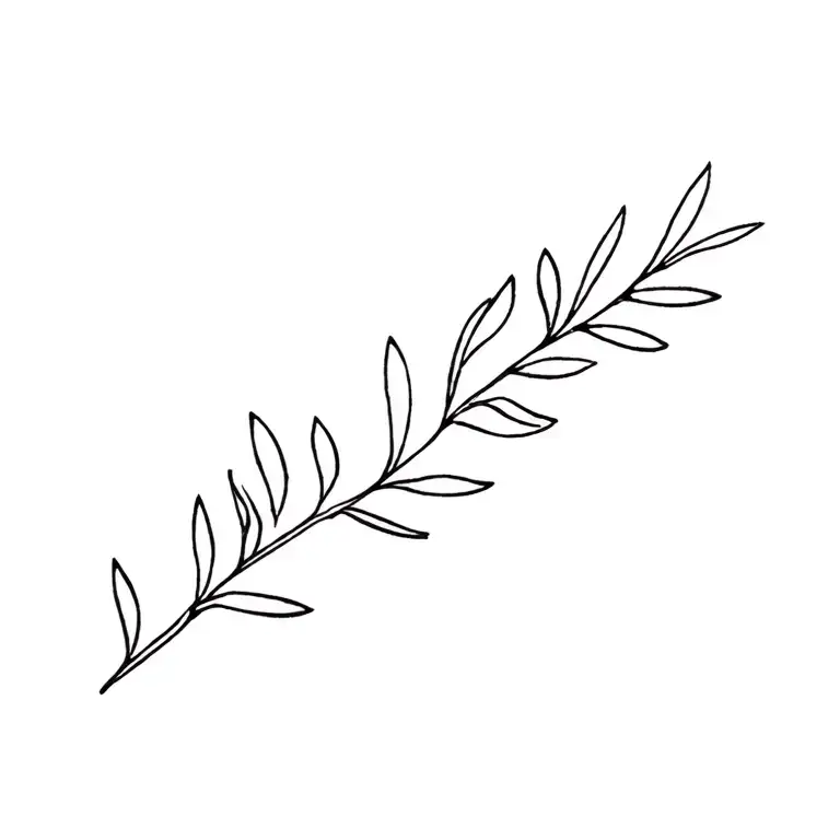 Olive Branch