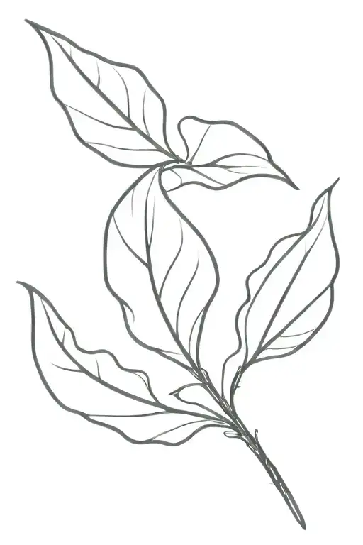 Leaf Guided By The Wind