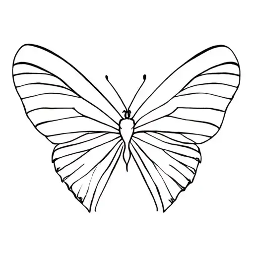 Butterfly With Wings Widespread Open