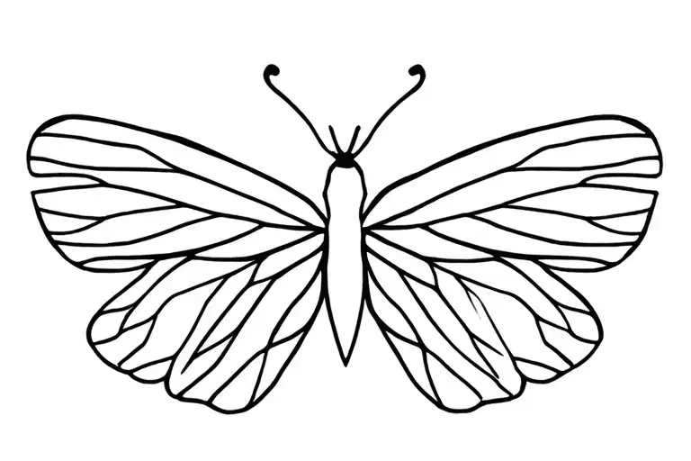 Butterfly With Wings Widespread Open