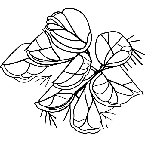 A Stack Of Books With Lemon Tree Flowers Blooming From Between The Pages