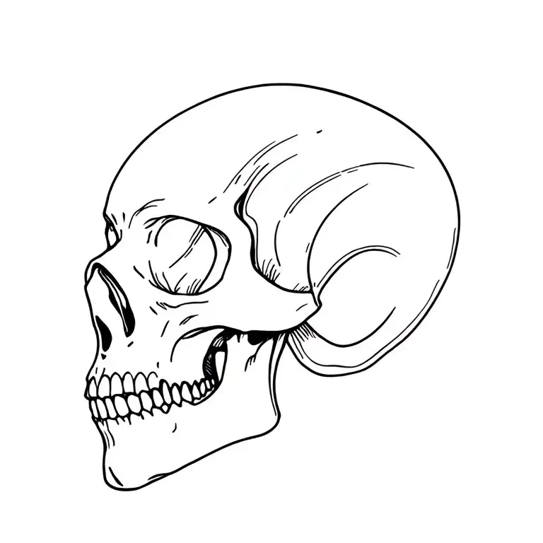 Skull Side Profile