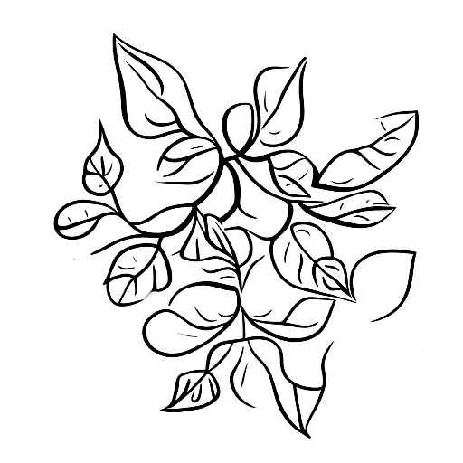 Honeysuckle On A Vine With Leaves