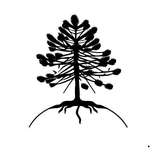 Dainty Pine Tree With A Circle Around It