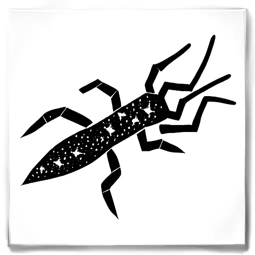 Constellation Du Scorpion