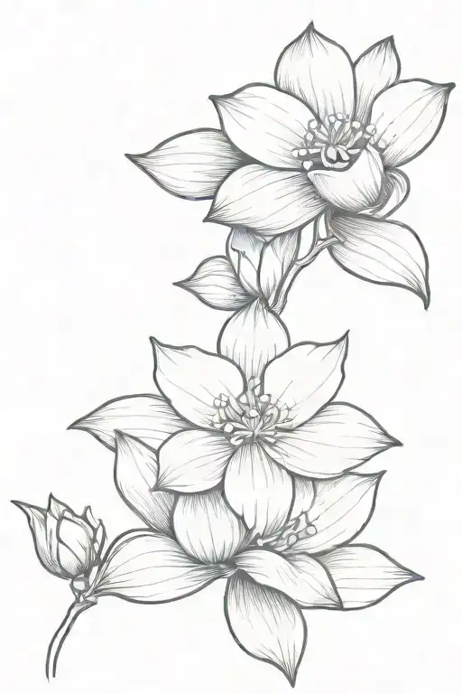 Dove Orchid And Lotus Flower
