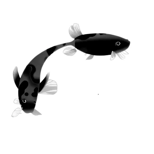 A Koi Fish