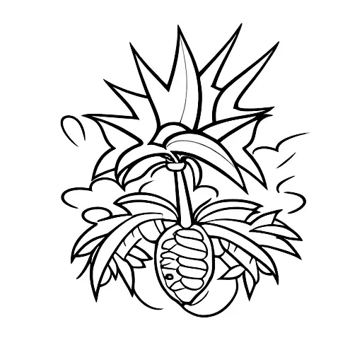 Palm Tree With An Open Cacao Bean