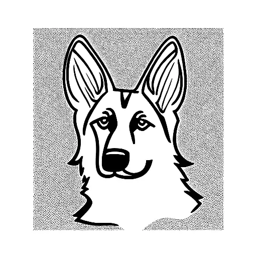 Ears German Shepherd