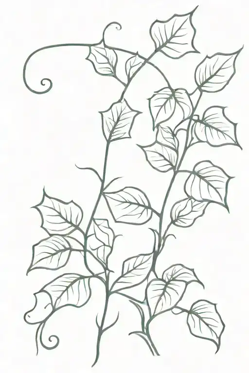 Ivy Plant