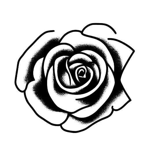 Open And Closed Rose And Sunflower