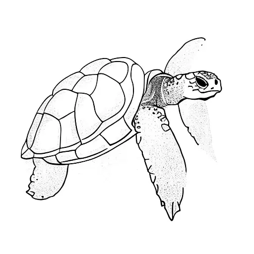 A Turtle