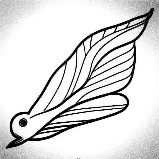 Sleek Flying American Robin Wings Spread Line Art