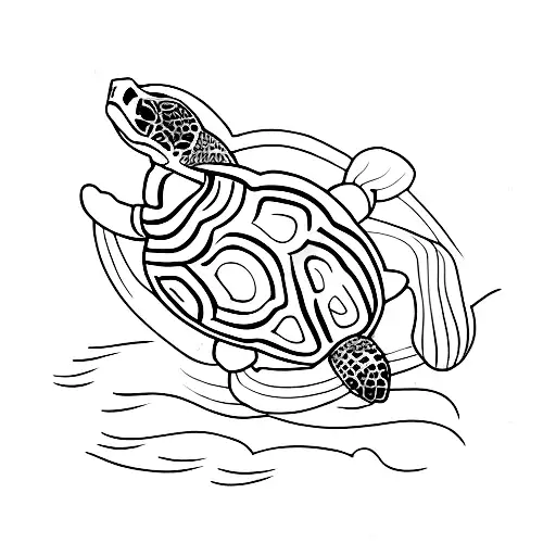 Turtles At The Beach