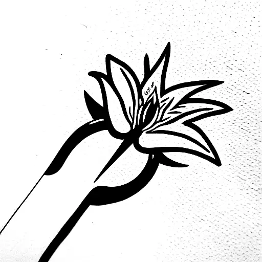 Fire Lily From Enter Shikari Album