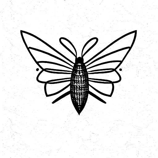 Moth With Maze On Wings