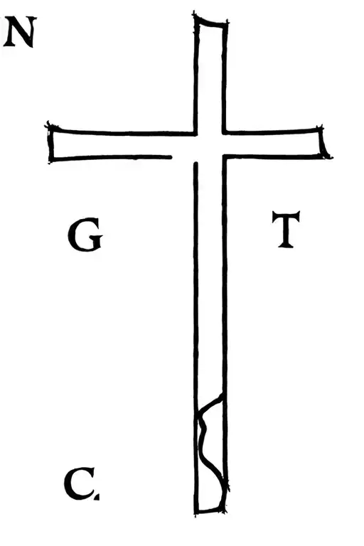 Cross With 4 Letters G T C T
