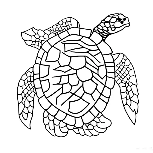 Turtle