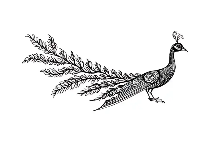 Peacock