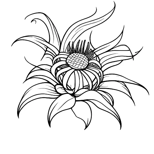 Spider Lilly E Uma Raposa