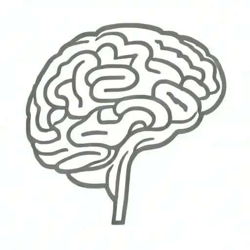 A Simple Minimalist Line Drawing Of A Brain As A Maze